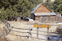 Come stay in Guffey Colorado! Click to see Cabins!